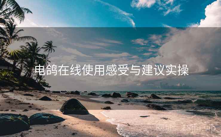 电鸽在线使用感受与建议实操  第2张