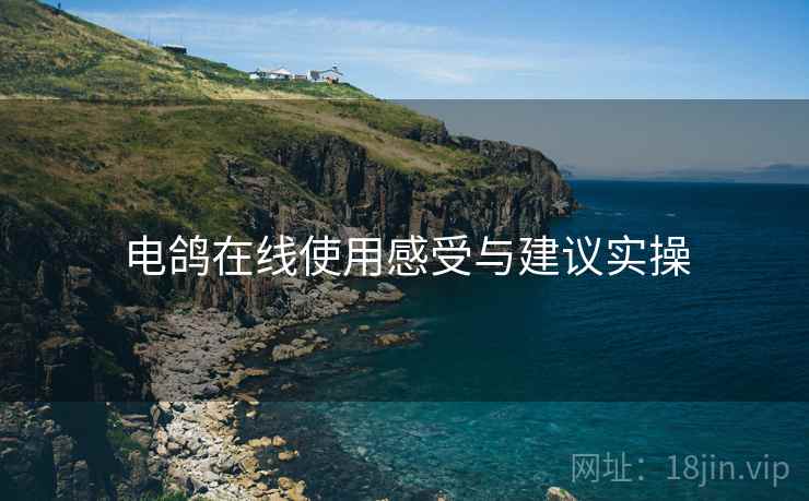 电鸽在线使用感受与建议实操  第1张