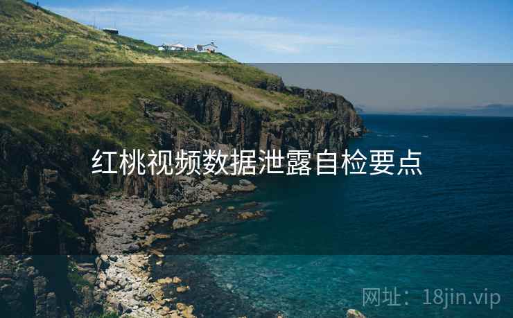 红桃视频数据泄露自检要点  第1张