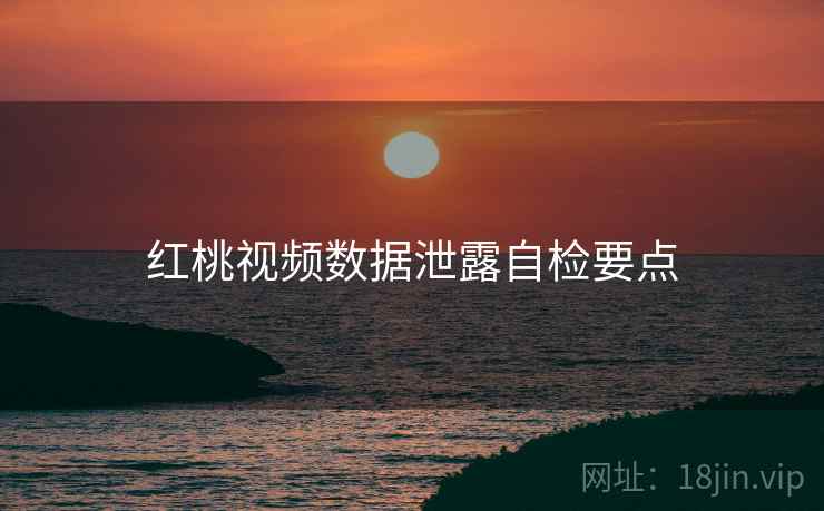 红桃视频数据泄露自检要点  第2张