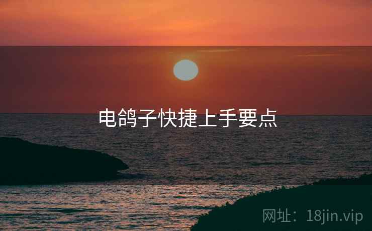 电鸽子快捷上手要点  第1张