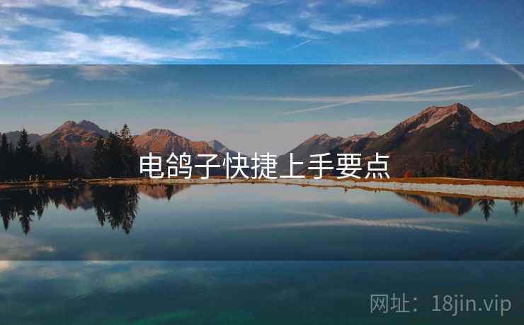 电鸽子快捷上手要点  第2张