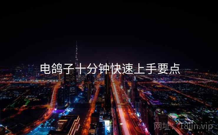 电鸽子十分钟快速上手要点  第1张