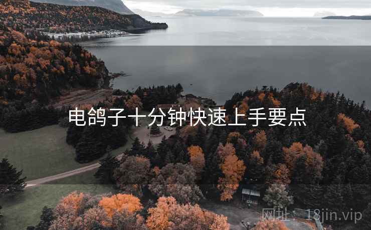 电鸽子十分钟快速上手要点  第2张