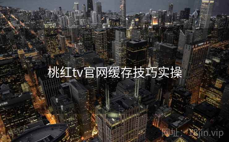 桃红tv官网缓存技巧实操  第2张