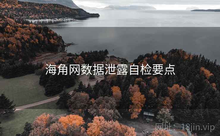 海角网数据泄露自检要点  第2张