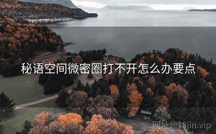 秘语空间微密圈打不开怎么办要点  第1张