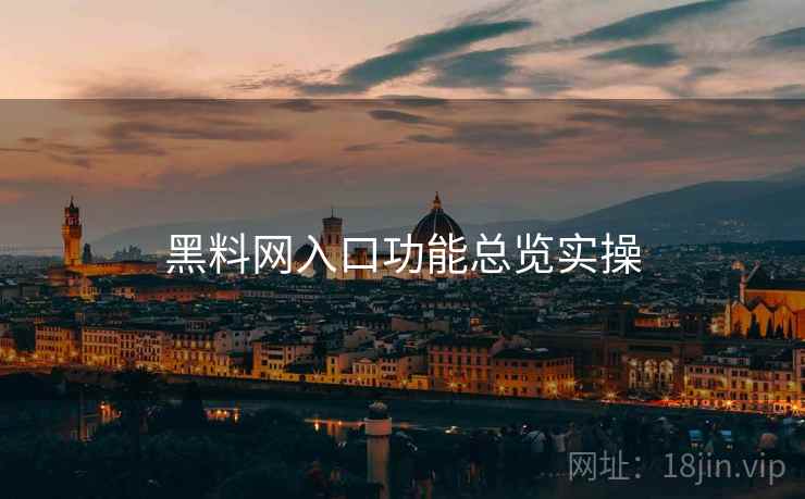 黑料网入口功能总览实操  第2张