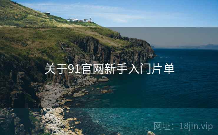 关于91官网新手入门片单  第1张