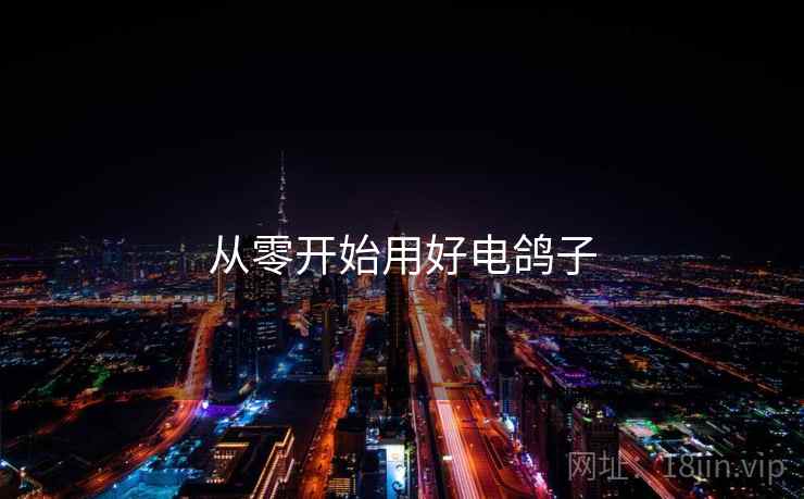 从零开始用好电鸽子  第1张