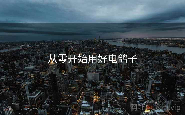 从零开始用好电鸽子  第2张