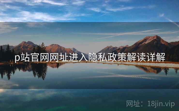 p站官网网址进入隐私政策解读详解  第2张
