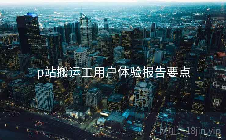 p站搬运工用户体验报告要点  第2张