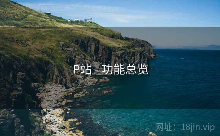 P站 - 功能总览  第2张