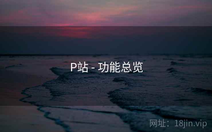 P站 - 功能总览  第1张