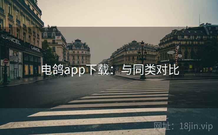 电鸽app下载：与同类对比  第1张