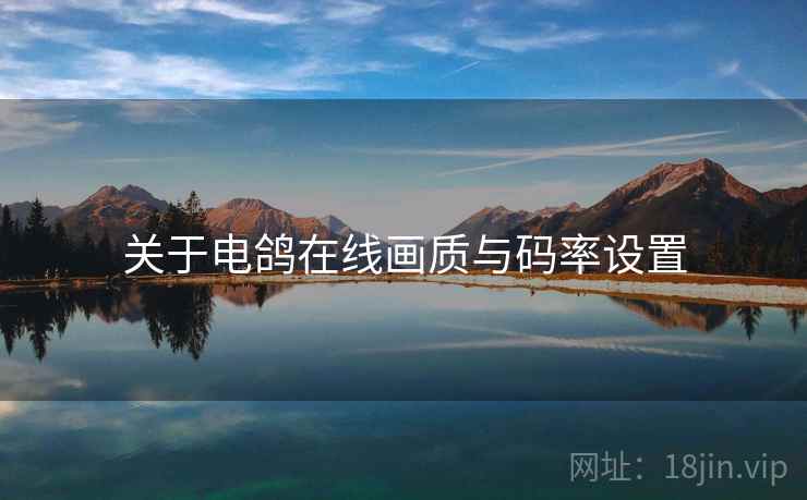 关于电鸽在线画质与码率设置  第2张