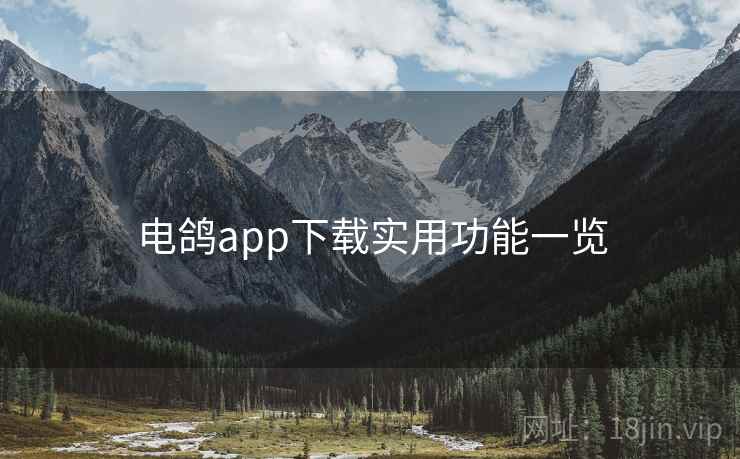 电鸽app下载实用功能一览  第2张