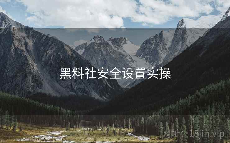 黑料社安全设置实操  第2张