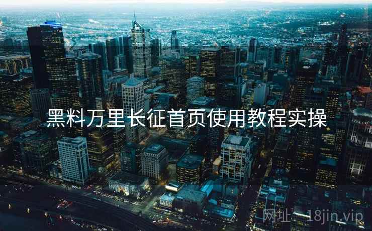 黑料万里长征首页使用教程实操  第2张