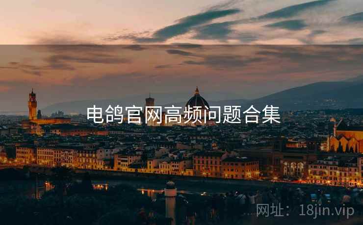 电鸽官网高频问题合集  第1张