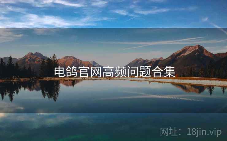 电鸽官网高频问题合集  第2张