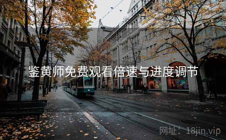 鉴黄师免费观看倍速与进度调节  第2张