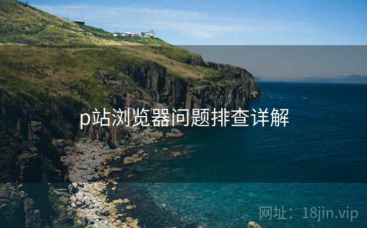 p站浏览器问题排查详解  第1张
