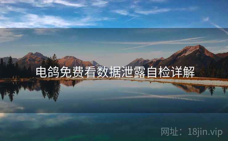电鸽免费看数据泄露自检详解  第1张