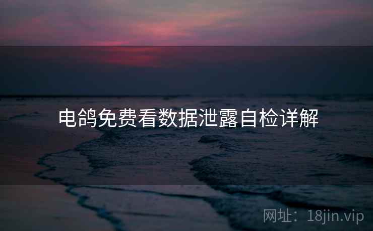 电鸽免费看数据泄露自检详解  第2张
