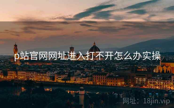 p站官网网址进入打不开怎么办实操  第2张