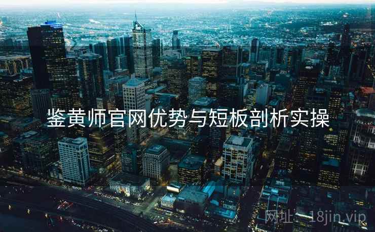 鉴黄师官网优势与短板剖析实操  第1张