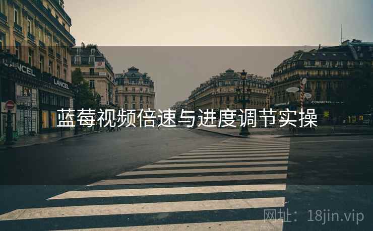 蓝莓视频倍速与进度调节实操  第2张