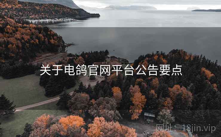 关于电鸽官网平台公告要点  第2张