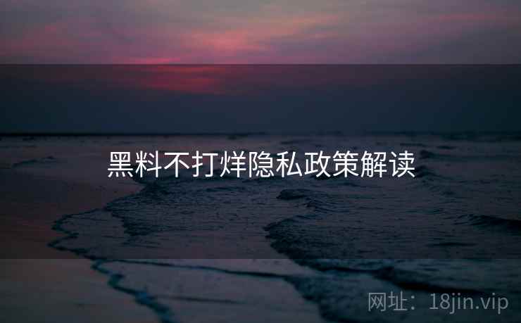 黑料不打烊隐私政策解读  第1张