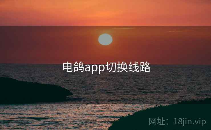 电鸽app切换线路  第2张