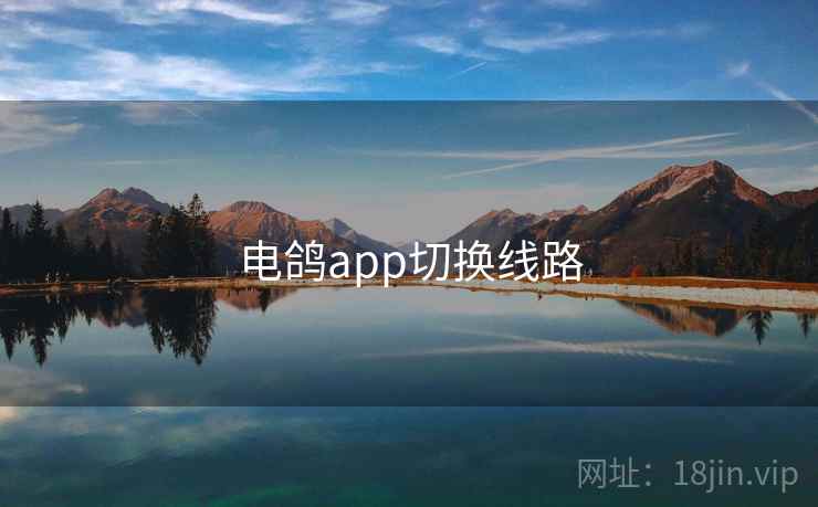 电鸽app切换线路  第1张