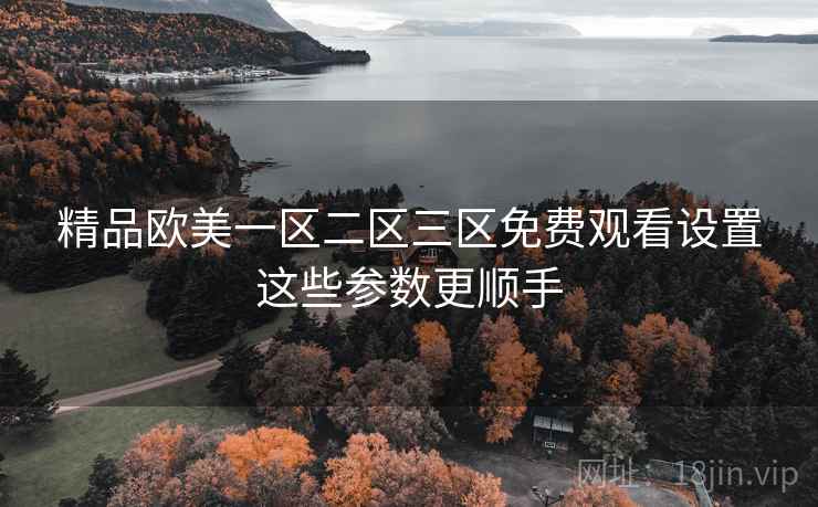 精品欧美一区二区三区免费观看设置这些参数更顺手  第1张