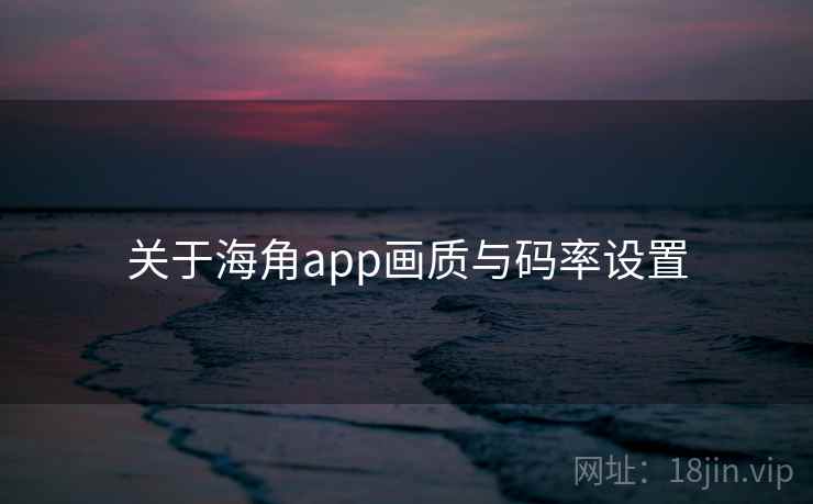 关于海角app画质与码率设置  第2张