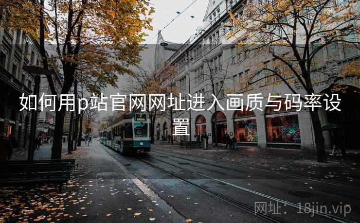 如何用p站官网网址进入画质与码率设置  第1张