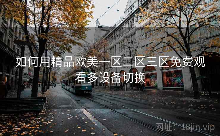 如何用精品欧美一区二区三区免费观看多设备切换  第1张